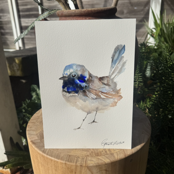 'Winter Wren #1'
