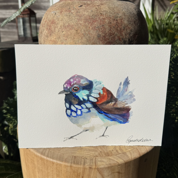 'Winter Wren #10'