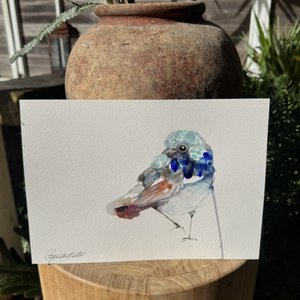 'Winter Wren #5'