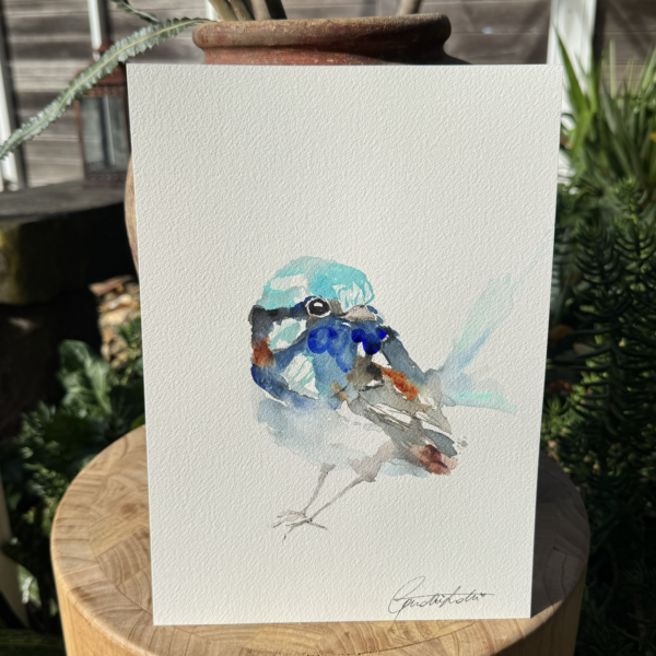 'Winter Wren #6'